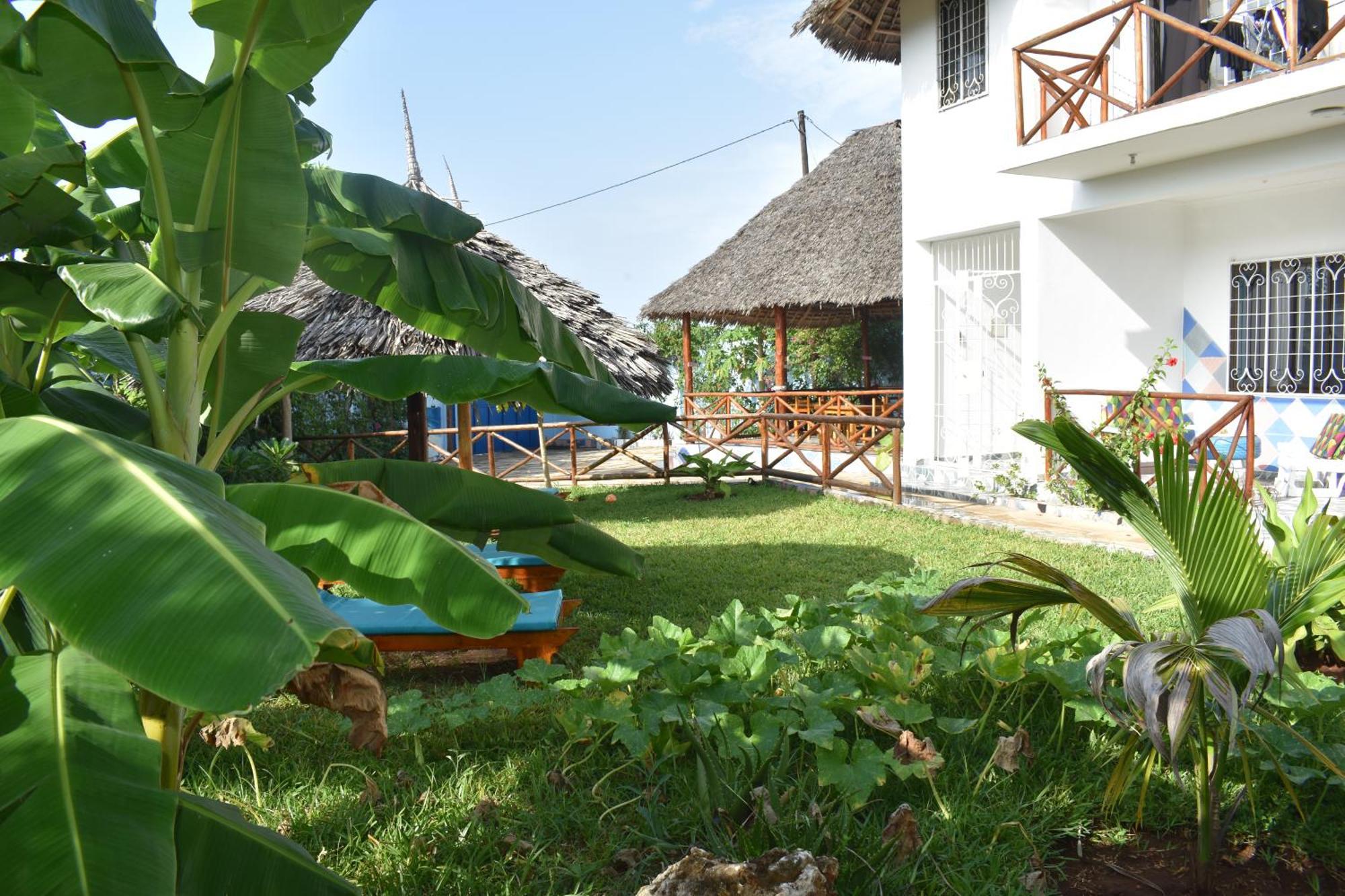 Bed and Breakfast Pineapple House Nungwi Esterno foto
