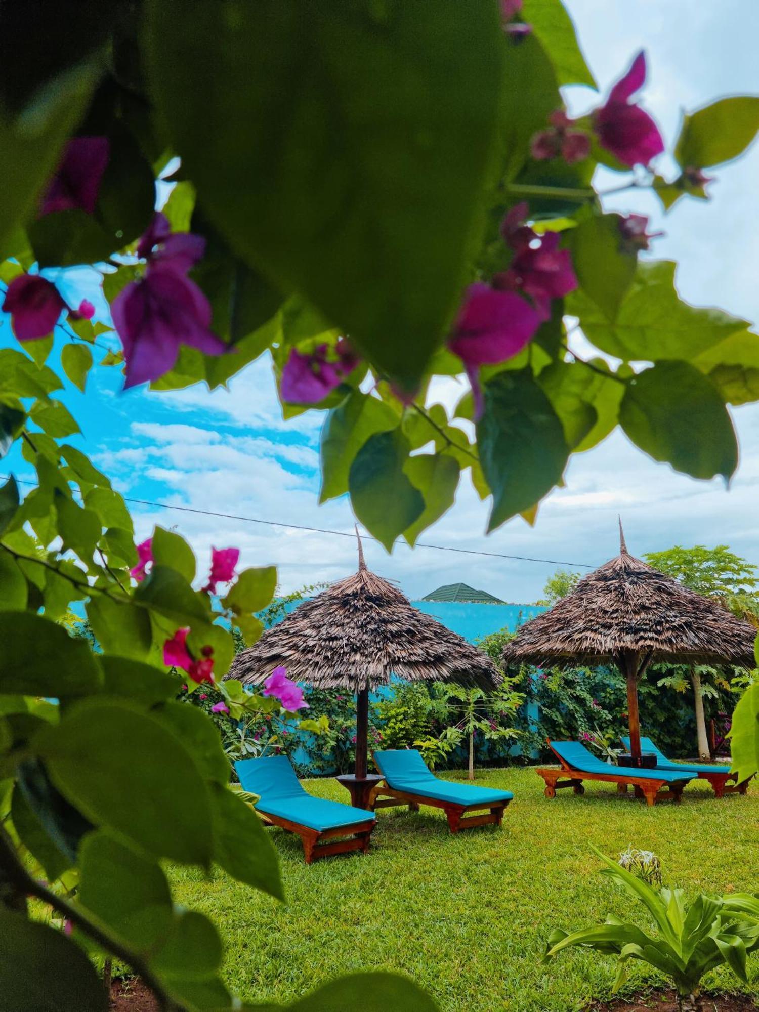 Bed and Breakfast Pineapple House Nungwi Esterno foto